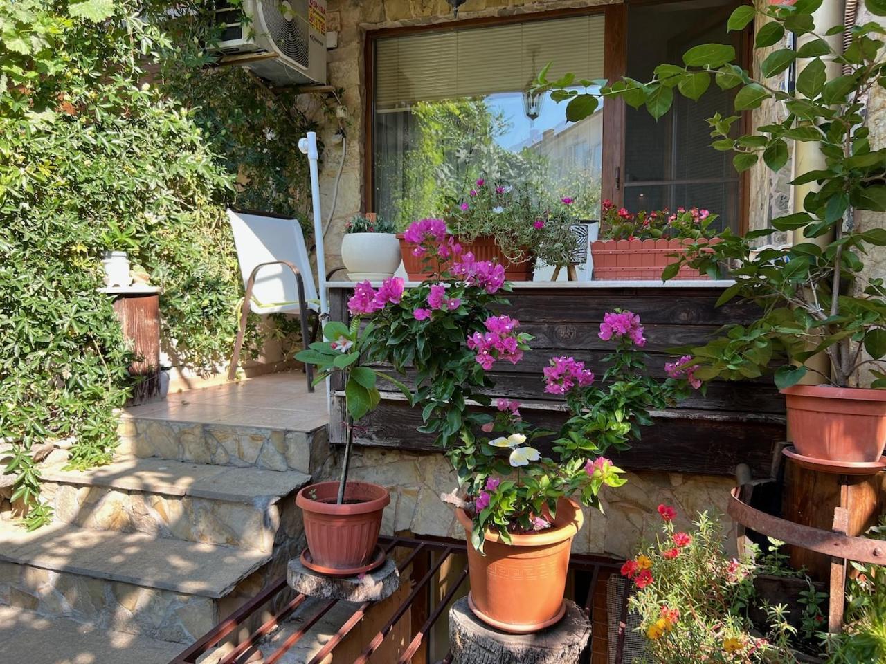 Family Hotel Emilia Sozopol Exteriér fotografie